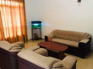 - un salon avec un canapé et une télévision dans l'établissement New Elkaduwa LOFT Hotel, à Wattegama