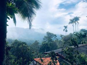 Blick auf den Dschungel von einem Resort im Regenwald in der Unterkunft New Elkaduwa LOFT Hotel in Wattegama