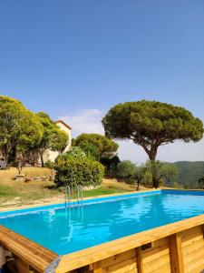 une piscine bleue avec des arbres en arrière-plan dans l'établissement Heritage mountain top Villa near Rome w/ Pool & Panoramic views, à Poli