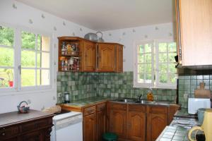 a kitchen with wooden cabinets and a sink and two windows at Holiday home Maison de la litiére in Pugny-Chatenod