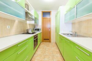 Kuchyň nebo kuchyňský kout v ubytování Apartment Lana