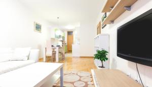 TV a/nebo společenská místnost v ubytování Apartment Lana