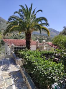 Gallery image of Kotrwnas Family Traditional Villa Seaview in Kótronas