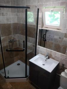 a bathroom with a shower and a sink and a shower at Domek Tosia in Bukowiec +37 photos