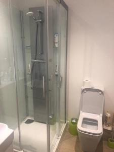 a bathroom with a glass shower and a toilet at Crow Nest in Barton on Sea