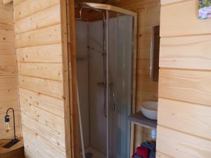 ein Bad mit einer Dusche und einem Waschbecken in der Unterkunft Chanterelle in Comblessac