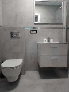 a bathroom with a toilet and a sink and a mirror at Guest House Ustka in Ustka