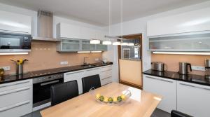 Virtuvė arba virtuvėlė apgyvendinimo įstaigoje Lake View Apartment