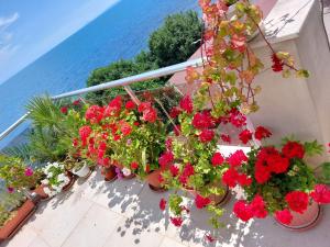 Gallery image of Guest House Neli in Nesebar