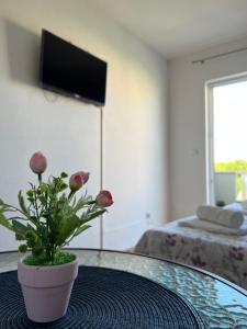 TV tai viihdekeskus majoituspaikassa Villa Marina Promajna