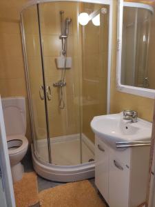 a bathroom with a shower and a toilet and a sink at Patak28 Apartmanok in Sopron +40 photos