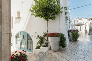 a white building with potted plants on a street at Dimore del TEMPO PERS0 Terrae Globus in Ostuni