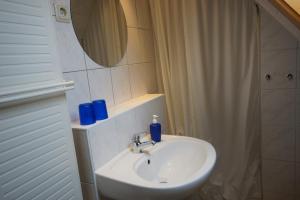 a bathroom with a sink and a mirror and a shower at Apartment Johanna Oberhof in Oberhof +14 photos