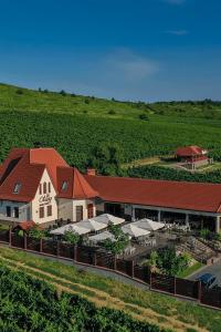 an aerial view of a building in a vineyard at Chizay. Мала Гора in Berehove