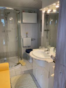 a bathroom with a shower and a sink and a toilet at Ankerplatz in Winnemark