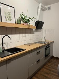 Dapur atau dapur kecil di Przytulny Apartament Mickiewicza 14/2