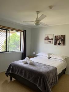Un dormitorio con una cama grande con ventilador de techo. en Spring Hill Gardens Apartments, en Brisbane 17 fotos más