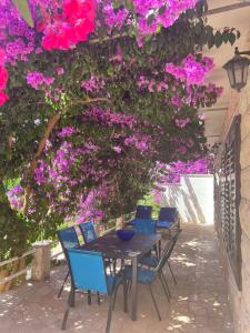 una mesa y sillas con flores rosas en el patio en Vacation house Benedetto, en Supetar