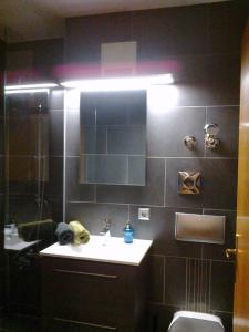 a bathroom with a sink and a toilet and a mirror at Apartment Blue Regensburg in Regensburg +5 photos