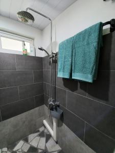 y baño con ducha y toalla verde. en Rava Lodge en Punaauia