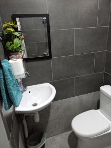 a bathroom with a sink and a toilet and a mirror at Rava Lodge in Punaauia