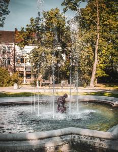 a person playing in a fountain in a park at Beseda in České Budějovice