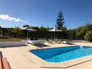 a swimming pool with chairs and umbrellas in a yard at Vinha da Quinta in Sintra
