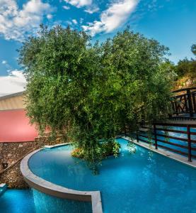 a tree in the middle of a swimming pool at Kallisti Hotel in Potos
