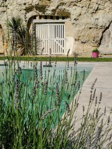 a garden with purple flowers and a door in a stone wall at Domaine du Val Sauvage in Langeais