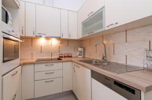 Kuchyňa alebo kuchynka v ubytovaní Apartman Pegla