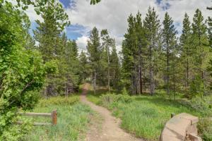 una strada sterrata attraverso un campo alberato di Prospector Point E 4Br 3,5Ba townhouse a Frisco