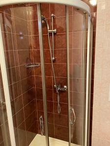 een douche met een glazen deur in de badkamer bij Apartment Mihaela in Boergas