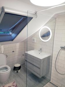 a bathroom with a sink and a toilet at Pension Nina in Douăzeci şi Trei August