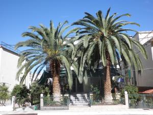 two palm trees in front of a building at Noufara Hotel in Kamena Vourla