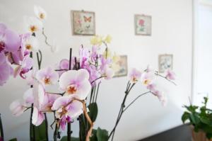 Fotografie z fotogalerie ubytování Mimì B&B v Ravellu