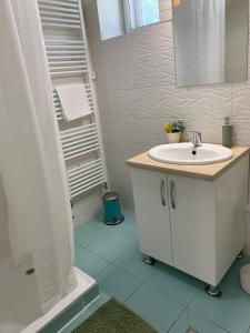 een badkamer met een wastafel en een douche bij Bazsalikom Vendégház in Sárospatak