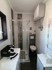 a bathroom with a shower and a toilet at Apartments Ruža Vjetrova in Postira
