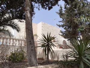 a building with palm trees in front of a fence at Sunny large terrace studio apartment WiFi Airconditioners BBQ in Mellieħa +12 photos