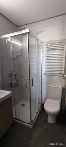 een badkamer met een toilet en een glazen douche bij Le petit coin au bord du lac in Doussard