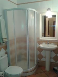 La salle de bains est pourvue d'une douche, de toilettes et d'un lavabo. dans l'établissement Villa Ca Na Llum, à Trebeluger