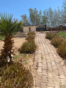un camino de piedra en un jardín con palmeras en PORTO HILL en Hurghada
