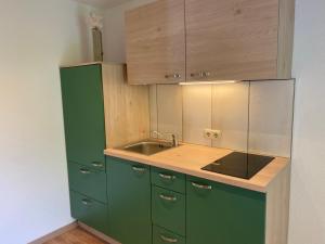 a kitchen with green cabinets and a sink at Apart Ladner in See