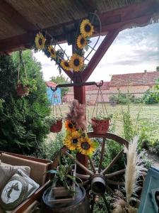 Zahrada ubytování Etno kuća Teodora