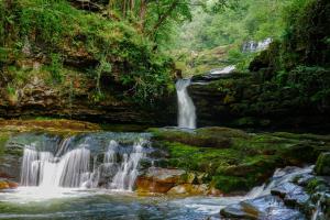 una cascada en medio de un bosque en Canyon Cottage, en Pont-Nedd-Fechan 18 fotos más
