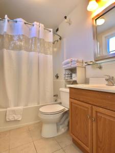 a bathroom with a toilet and a sink and a shower at Sunrise Motel in York