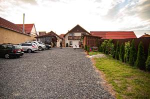 une allée avec des voitures garées devant une maison dans l'établissement Casa Iancu, à Jina