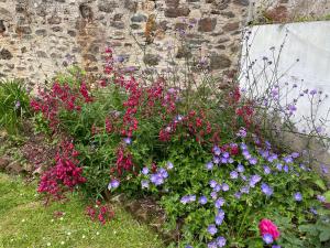 Um jardim em Penarwyn House