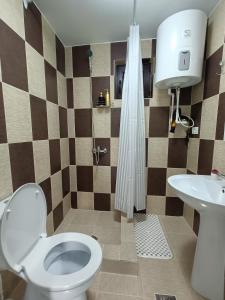 a bathroom with a toilet and a sink at Casa NICHIFOR Jurilovca in Jurilovca