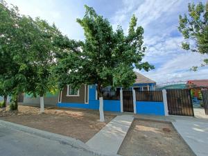 a house with a blue fence and a tree at Casa NICHIFOR Jurilovca in Jurilovca