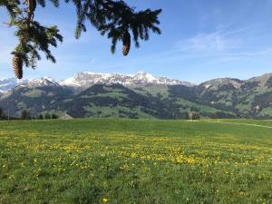 Paesaggio naturale nelle vicinanze del bed & breakfast